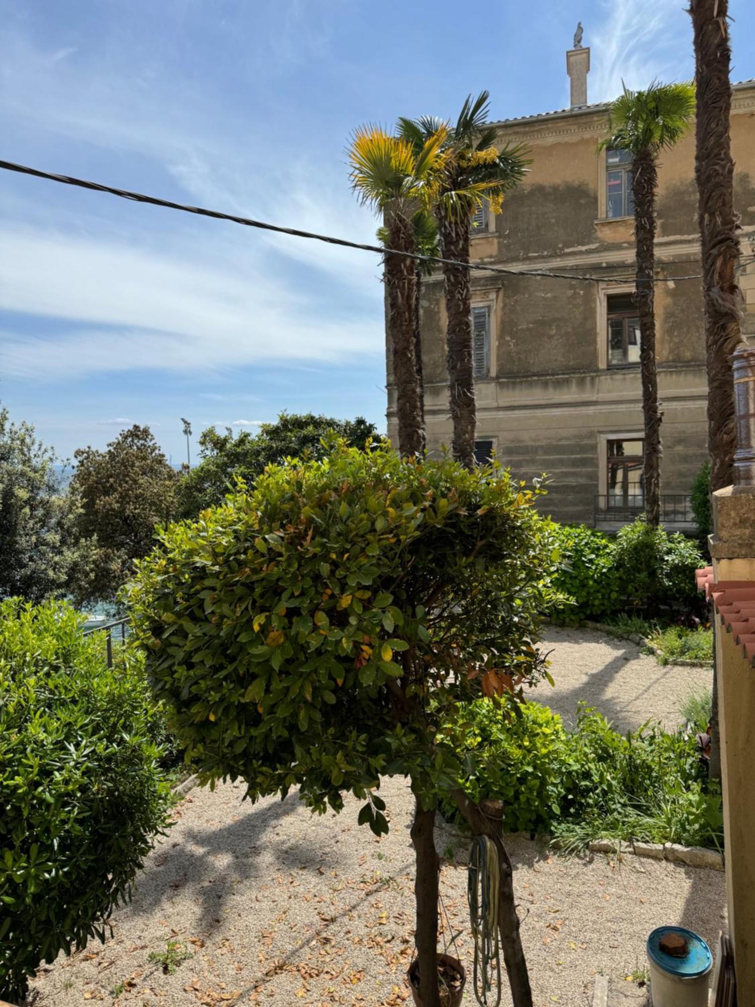 Mirna - What Is What Get Apartment *