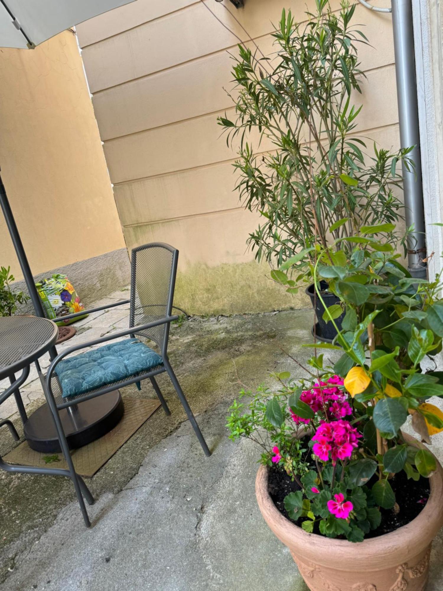 Apartament Mirna - What Is What Get *