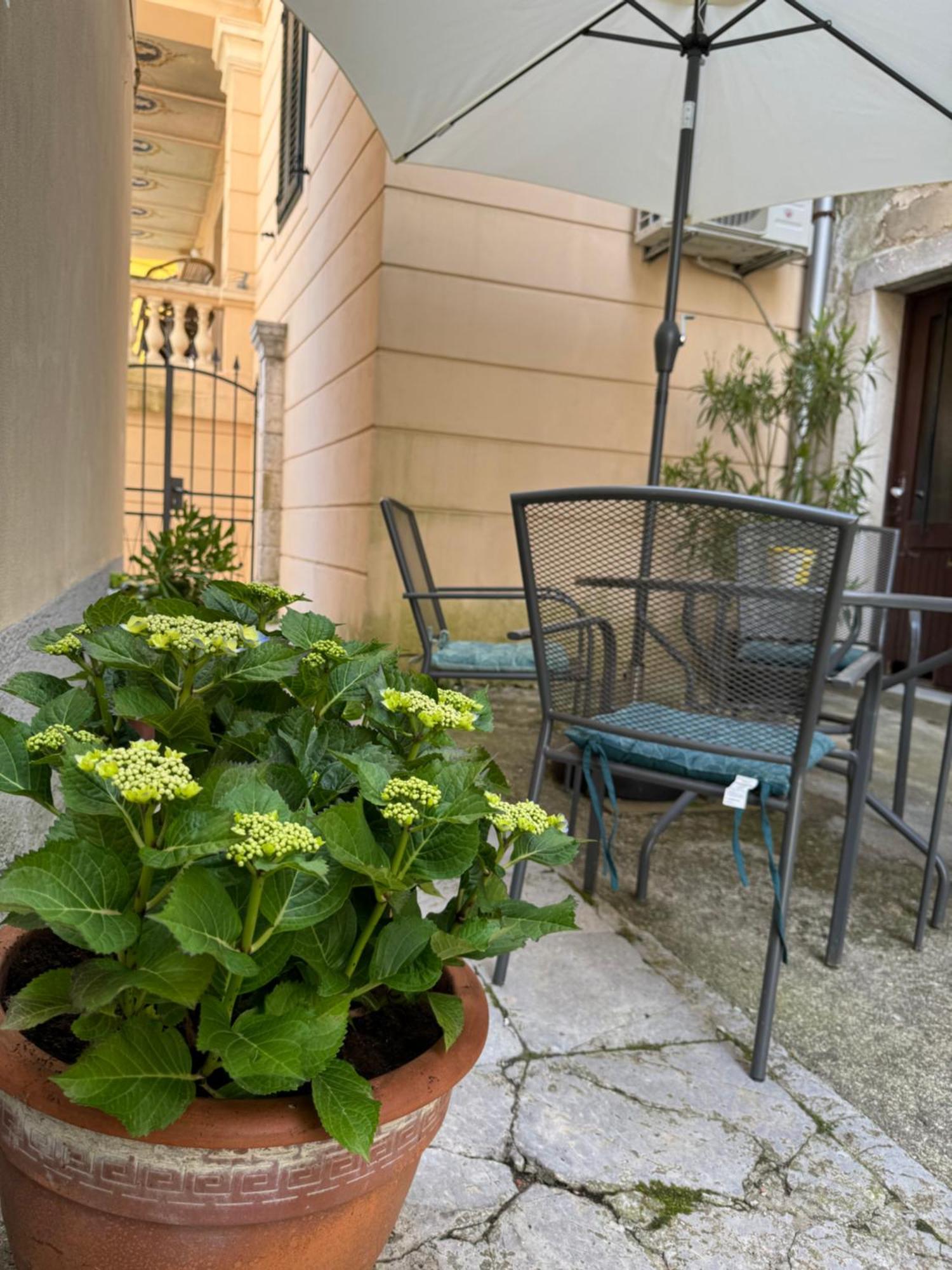 Apartmán Mirna - What Is What Get Opatija
